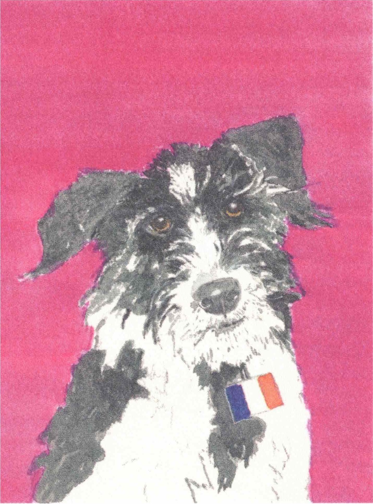 In Praise of&nbsp;Dogs